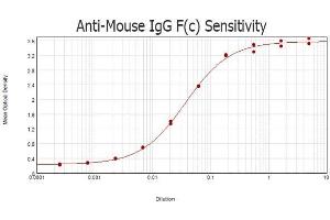 ELISA results of Goat anti-Mouse IgG F(c) Antibody tested against purified Mouse IgG F(c) protein. (Chèvre anti-Souris IgG (Fc Region) Anticorps - Preadsorbed)