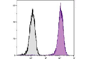 Human T cell leukemia cell line Jurkat was intracellularly stained with Mouse Anti-Human CD107a-PE. (LAMP1 anticorps  (SPRD))