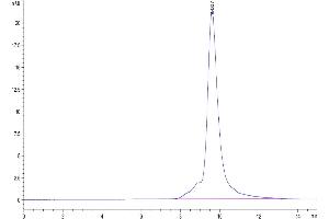 The purity of Human SEMA3A is greater than 95 % as determined by SEC-HPLC. (SEMA3A Protein (His tag))