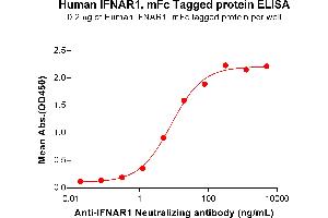 ELISA plate pre-coated by 2 μg/mL (100 μL/well) Human IF Protein, mFc Tag (ABIN7455464, ABIN7490866 and ABIN7490868) can bind Anti-IF Neutralizing antibody ABIN7478013 and ABIN7490965 in a linear range of 1. (IFNAR1 Protein (AA 28-436) (mFc Tag))