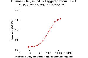 ELISA plate pre-coated by 2 μg/mL (100 μL/well) Human CD48, mFc-His tagged protein (ABIN6961089, ABIN7042207 and ABIN7042208) can bind Human 2B4, hFc tagged protein ABIN6961162, ABIN7042353 and ABIN7042354 in a linear range of 62. (CD48 Protein (CD48) (AA 27-220) (mFc-His Tag))