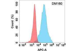 Flow cytometry analysis with Anti-LAG3 (DM160) on Expi293 cells transfected with human LAG3 (Blue histogram) or Expi293 transfected with irrelevant protein (Red histogram). (LAG3 anticorps  (AA 23-245))