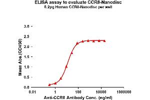 ELISA image for Chemokine (C-C Motif) Receptor 8 (CCR8) protein (ABIN7491570)