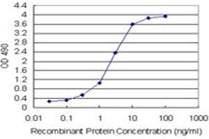 Sandwich ELISA detection sensitivity ranging from 0. (PNMA1 (Humain) Matched Antibody Pair)