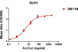 ELISA plate pre-coated by 1 μg/mL (100 μL/well) Human protein, His tagged protein ABIN6964103, ABIN7042461 and ABIN7042462 can bind Rabbit anti- monoclonal antibody (clone: DM149) in a linear range of 1-50 ng/mL. (ROR1 anticorps  (AA 30-403))