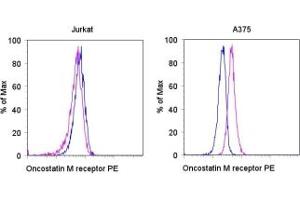 Image no. 1 for anti-Oncostatin M Receptor (OSMR) antibody (PE) (ABIN475222) (Oncostatin M Receptor anticorps  (PE))