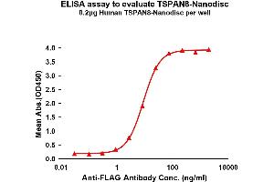 Elisa plates were pre-coated with Flag Tag TS-Nanodisc (0. (Tspan-8 Protéine)