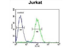 Flow Cytometry (FACS) image for anti-Ribosomal Protein S3A (RPS3A) antibody (ABIN3002375) (RPS3A anticorps)