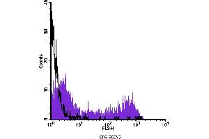 Flow Cytometry (FACS) image for anti-CD8 (CD8) antibody (PE-Cy5) (ABIN2144354) (CD8 anticorps  (PE-Cy5))