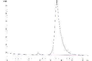 The purity of Cynomolgus FGFR2 beta (IIIb) is greater than 95 % as determined by SEC-HPLC. (FGFR2 alpha (AA 154-368) protein (His tag))