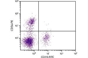 Human peripheral blood lymphocytes were stained with Mouse Anti-Human CD56-PE. (CD56 anticorps  (FITC))