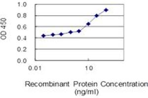 ELISA image for anti-Histone Cluster 1, H3d (HIST1H3D) (AA 1-60) antibody (ABIN563599)