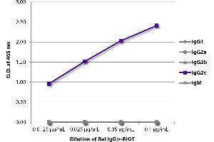 ELISA plate was coated with Mouse Anti-Rat IgG1-UNLB and quantified. (Rat IgG2c isotype control (Biotin))