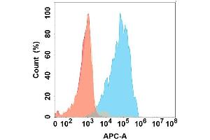 Flow cytometry analysis with Anti-IL5 on Expi293 cells transfected with human IL5 (Blue histogram) or Expi293 transfected with irrelevant protein (Red histogram). (IL-5 anticorps)