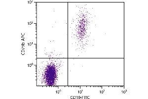 Human peripheral blood lymphocytes were stained with Mouse Anti-Human CD79b-APC. (CD79b anticorps  (APC))