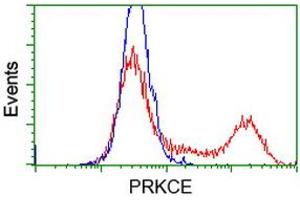 HEK293T cells transfected with either RC217702 overexpress plasmid (Red) or empty vector control plasmid (Blue) were immunostained by anti-PRKCE antibody (ABIN2454248), and then analyzed by flow cytometry. (PKC epsilon anticorps)