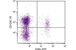 BALB/c mouse splenocytes were stained with Rat Anti-Mouse CD45RC-PE. (CD45RC anticorps  (FITC))