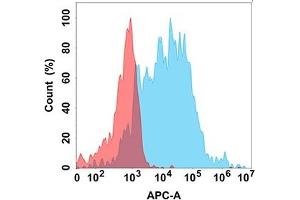 Flow cytometry analysis with Anti-T on Expi293 cells transfected with human T (Blue histogram) or Expi293 transfected with irrelevant protein (Red histogram). (TREM2 anticorps)
