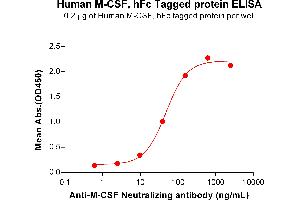 ELISA plate pre-coated by 2 μg/mL (100 μL/well) Human M-CSF Protein, hFc Tag (ABIN7092715, ABIN7272254 and ABIN7272255) can bind Anti-M-CSF Neutralizing antibody ABIN7478003 and ABIN7490942 in a linear range of 9. (M-CSF/CSF1 Protein (AA 33-255) (Fc Tag))