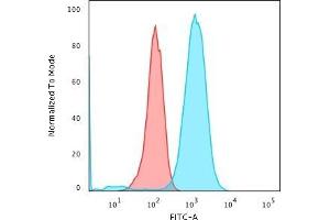 Flow Cytometric Analysis of Raji cells. (CD79a anticorps  (AA 202-216))