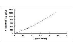 ELISA image for Carcinoembryonic Antigen Gene Family (CEA) ELISA Kit (ABIN6730886)