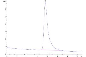 Size-exclusion chromatography-High Pressure Liquid Chromatography (SEC-HPLC) image for Programmed Cell Death 1 (PDCD1) (AA 25-167) protein (His tag) (ABIN7275418)