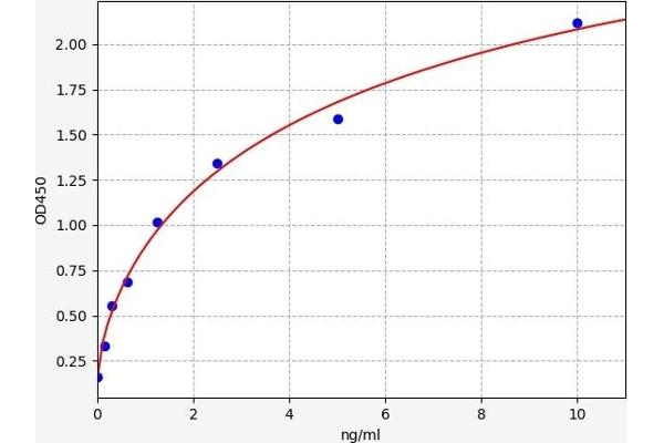 Topoisomerase I Kit ELISA