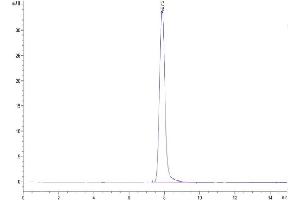 Size-exclusion chromatography-High Pressure Liquid Chromatography (SEC-HPLC) image for AXL Receptor tyrosine Kinase (AXL) (AA 33-442) protein (His tag) (ABIN7273881)