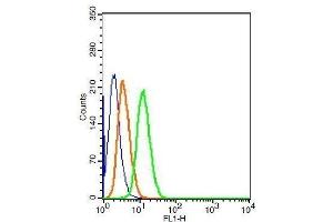 Flow Cytometry (FACS) image for anti-Fibroblast Growth Factor 2 (Basic) (FGF2) (AA 143-250) antibody (ABIN726425)