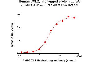 ELISA plate pre-coated by 2 μg/mL (100 μL/well) Human Protein, hFc Tag (ABIN6964235, ABIN7042685 and ABIN7042686) can bind Anti- Neutralizing antibody ABIN7478018 and ABIN7490987 in a linear range of 0. (CCL2 Protein (AA 24-99) (Fc Tag))
