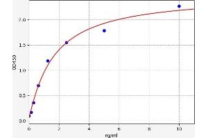 LHB Kit ELISA