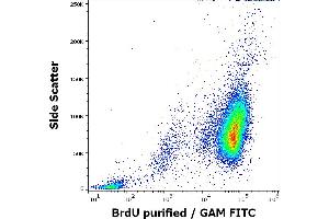 Flow cytometry intracellular staining pattern of BrdU incorporated K562 cells stained using anti-BrdU (Bu20a) purified antibody (concentration in sample 4 μg/mL, GAM FITC). (BrdU anticorps)