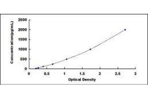 ELISA image for Lipoprotein Lipase (LPL) ELISA Kit (ABIN416129) (Lipoprotein Lipase Kit ELISA)