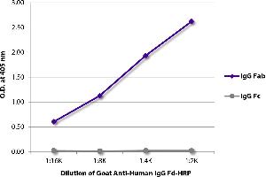 ELISA plate was coated with purified human IgG Fab and IgG Fc. (Chèvre anti-Humain IgG (Fd Region) Anticorps (HRP))