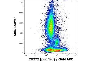 Flow cytometry surface staining pattern of human peripheral whole blood stained using anti-human CD272 (MIH26) purified antibody (concentration in sample 1,7 μg/mL, GAM APC). (BTLA anticorps)