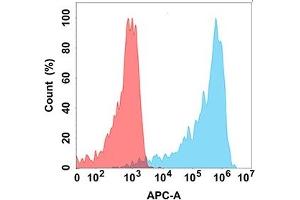 Flow cytometry analysis with Anti-A (DM186) on Expi293 cells transfected with human A (Blue histogram) or Expi293 transfected with irrelevant protein (Red histogram). (AMHR2 anticorps  (AA 18-149))