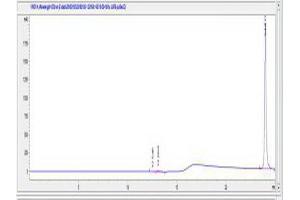 Image no. 1 for Chemokine (C-X-C Motif) Receptor 2 (CXCR2) peptide (Ovalbumin) (ABIN5666246) (Chemokine (C-X-C Motif) Receptor 2 (CXCR2) peptide (Ovalbumin))