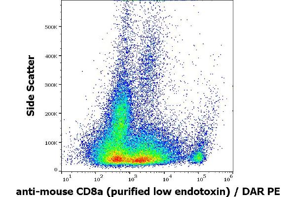 CD8 alpha anticorps