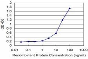 Detection limit for recombinant GST tagged TCEA3 is approximately 0. (TCEA3 anticorps  (AA 1-348))