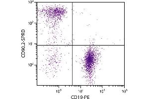 BALB/c mouse splenocytes were stained with Rat Anti-Mouse CD90. (CD90.2 / Thy-1.2 anticorps  (SPRD))