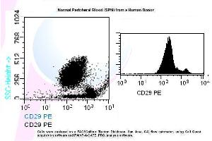 Image no. 1 for anti-Integrin beta 1 (ITGB1) antibody (PE) (ABIN1112109) (ITGB1 anticorps  (PE))