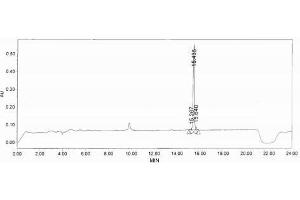 Image no. 1 for Fibroblast Growth Factor 19 (FGF19) peptide (Ovalbumin) (ABIN5666175) (Fibroblast Growth Factor 19 (FGF19) peptide (Ovalbumin))