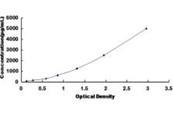 BCL9 Kit ELISA