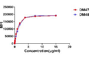 Affinity ranking of different Rabbit anti- mAb clones by titration of different concentration onto Expi 293 cell line transfected with human . (Recombinant ACE2 anticorps  (AA 18-740))