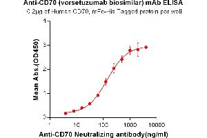 ELISA plate pre-coated by 2 μg/mL (100 μL/well) Human CD70, mFc-His tagged protein ABIN6961112, ABIN7042253 and ABIN7042254 can bind Anti-CD70 Neutralizing antibody  in a linear range of 3. (Recombinant CD70 (Vorsetuzumab Biosimilar) anticorps)