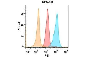 EPCAM protein is highly expressed on the surface of Expi293 cell membrane. (EpCAM anticorps  (AA 24-314))