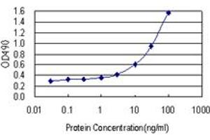 Sandwich ELISA detection sensitivity ranging from 1 ng/mL to 100 ng/mL. (AK1 (Humain) Matched Antibody Pair)