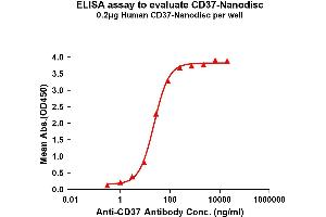 Elisa plates were pre-coated with Flag Tag CD37-Nanodisc (0. (CD37 Protéine)