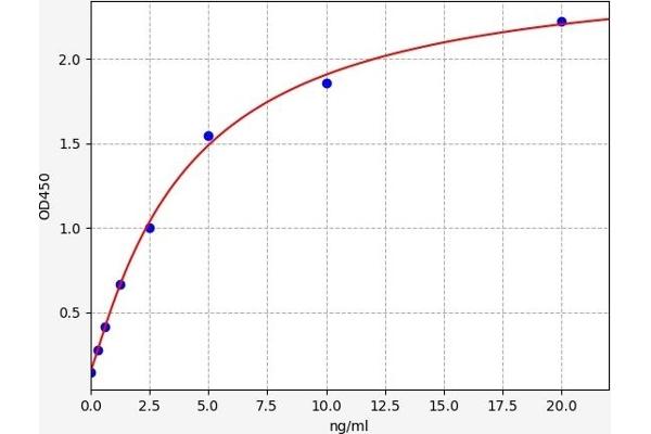 PRR4 Kit ELISA