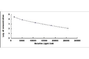 ELISA image for Testosterone CLIA Kit (ABIN4948061) (Testosterone Kit CLIA)